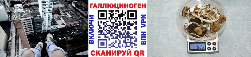 мориарти Telegram магазин продажи МЕГА сайт Кодинск Галлюциногенные грибы ЛСД